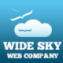 Wide Sky Web Company Profile Pic